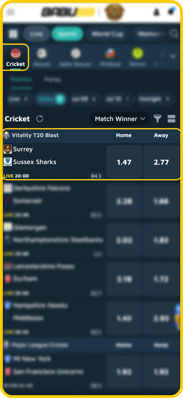 Browse major competitive cricket leagues directly on Babu88 official site.